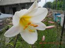 DSCN3079