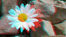 20140520_143502