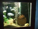 DSCF2773