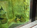 DSCF2779