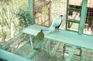 DSC06604