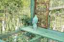 DSC06619