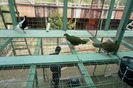 DSC06656