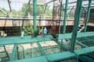 DSC06696