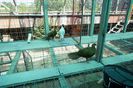 DSC06699