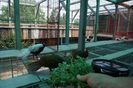 DSC06738