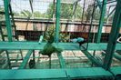 DSC06766