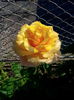 IMG_20140610_094050