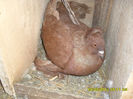 SAM_0931