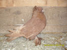 SAM_0936