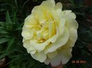 DSC04805