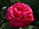 DSC04636