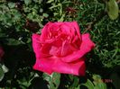 DSC04257
