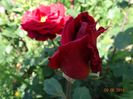 DSC04676