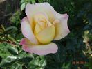 DSC04623