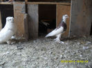 SAM_0894