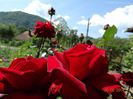 DSC04250