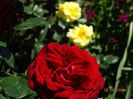 DSC04451