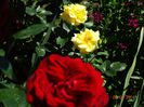 DSC04450