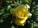 DSC04686
