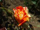 DSC04671