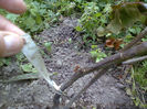 Photo0250