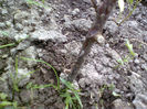 Photo0251