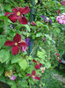 DSC01197