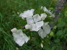DSCN6817