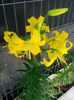 IMG_20140610_085244