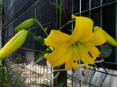 IMG_20140607_131034