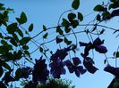 DSCN7689