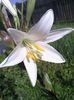 IMG_20140606_090417