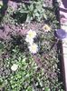 IMG_20140606_090440