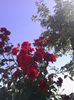 IMG_20140606_090458