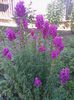 IMG_20140606_090552
