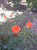 IMG_20140606_090604
