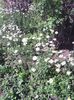 IMG_20140606_090613
