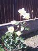 IMG_20140606_090648