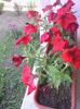 IMG_20140606_090915