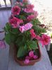IMG_20140606_090931