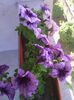 IMG_20140606_090942