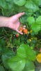 IMAG0175