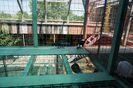 DSC06812