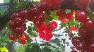 20140606_184028