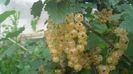 20140606_184009
