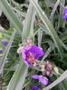 20140606_075529