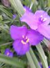 20140606_075547