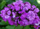 DSC04276