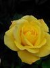 20140606_075034_LLS